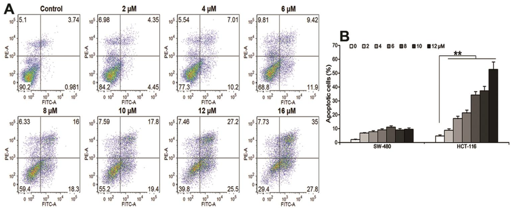 Nutrients 06 02668 g004 1024