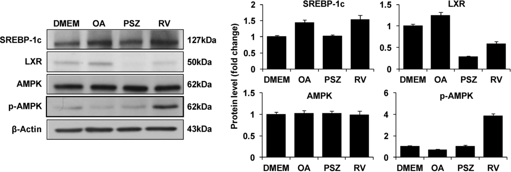 Nutrients 06 02956 g005 1024