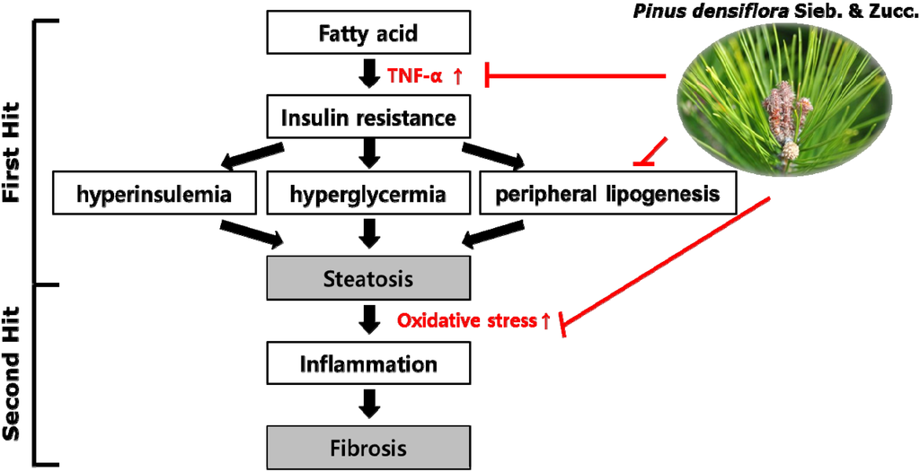 Nutrients 06 02956 g008 1024