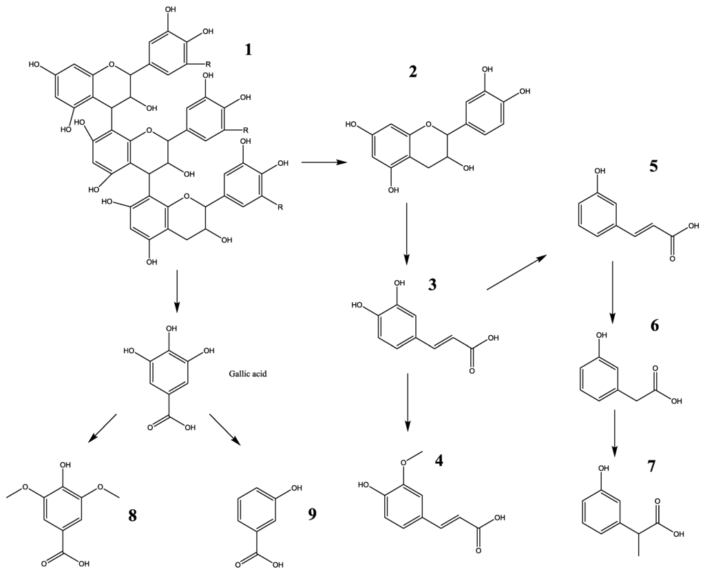 Nutrients 06 03230 g002 1024