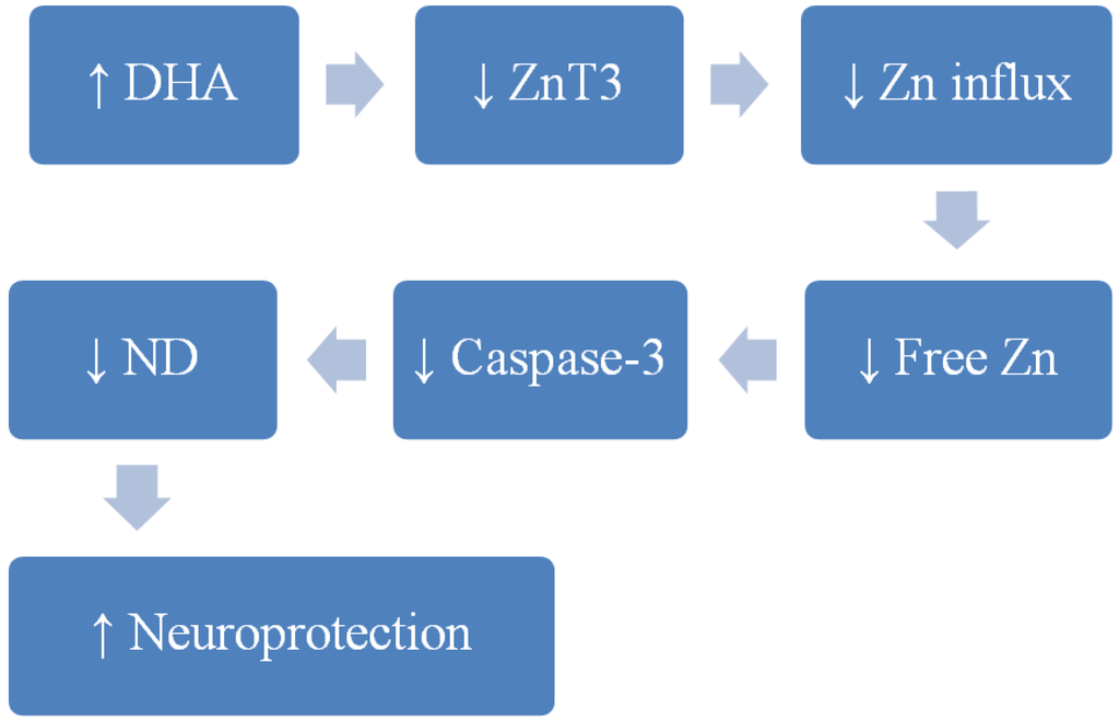 Nutrients 06 03245 g002 1024