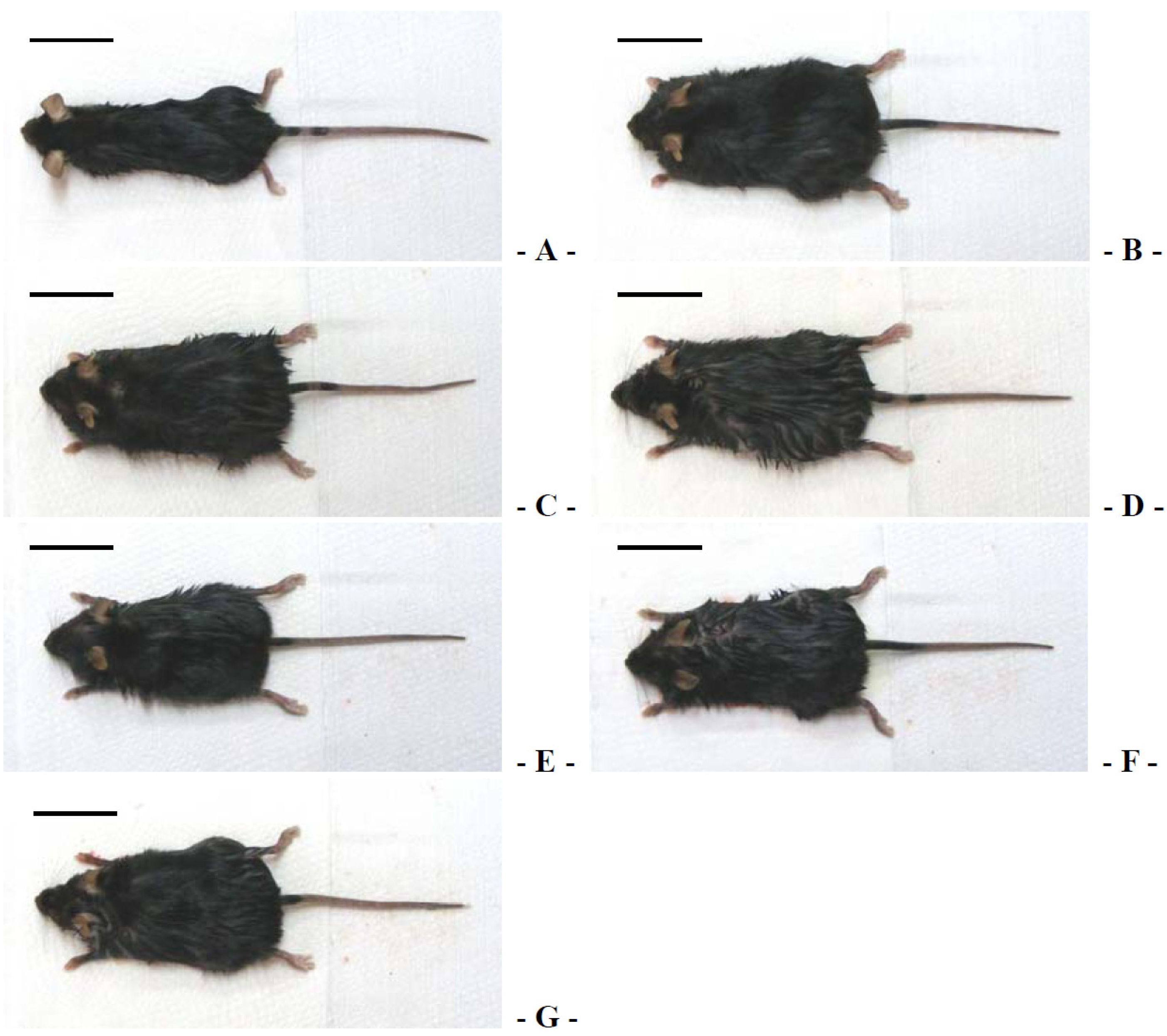 Nutrients 06 03536 g002