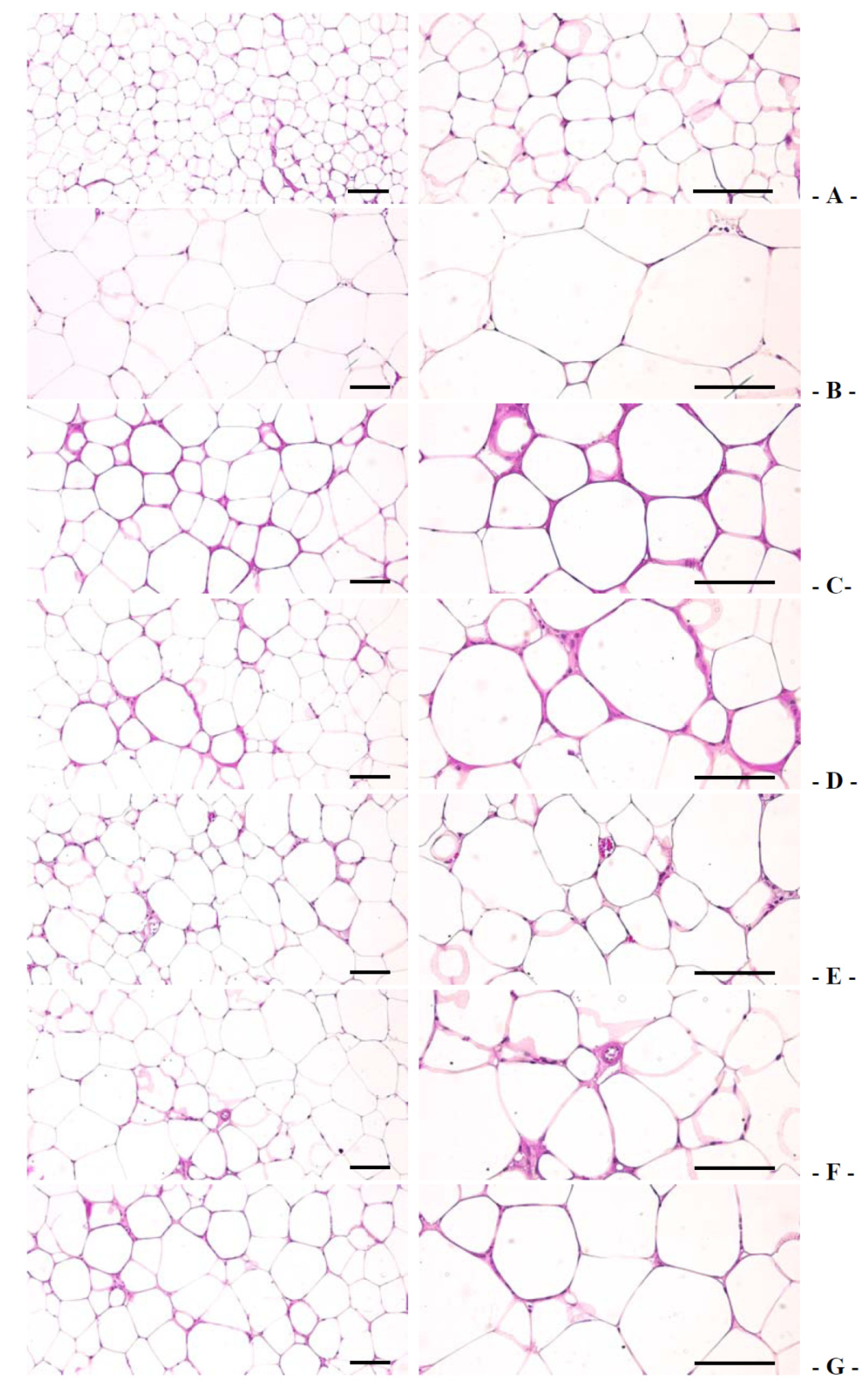 Nutrients 06 03536 g003