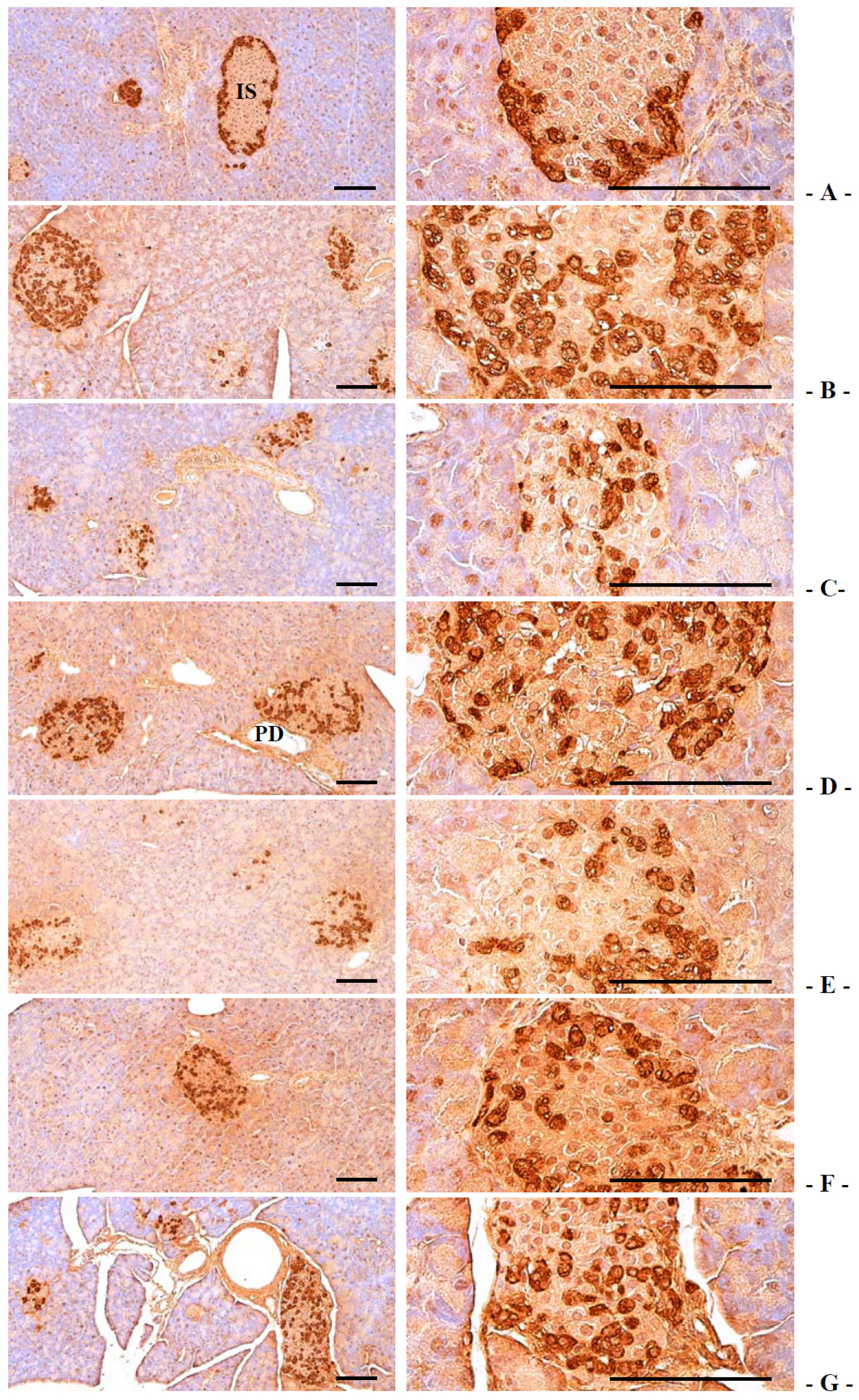 Nutrients 06 03536 g006