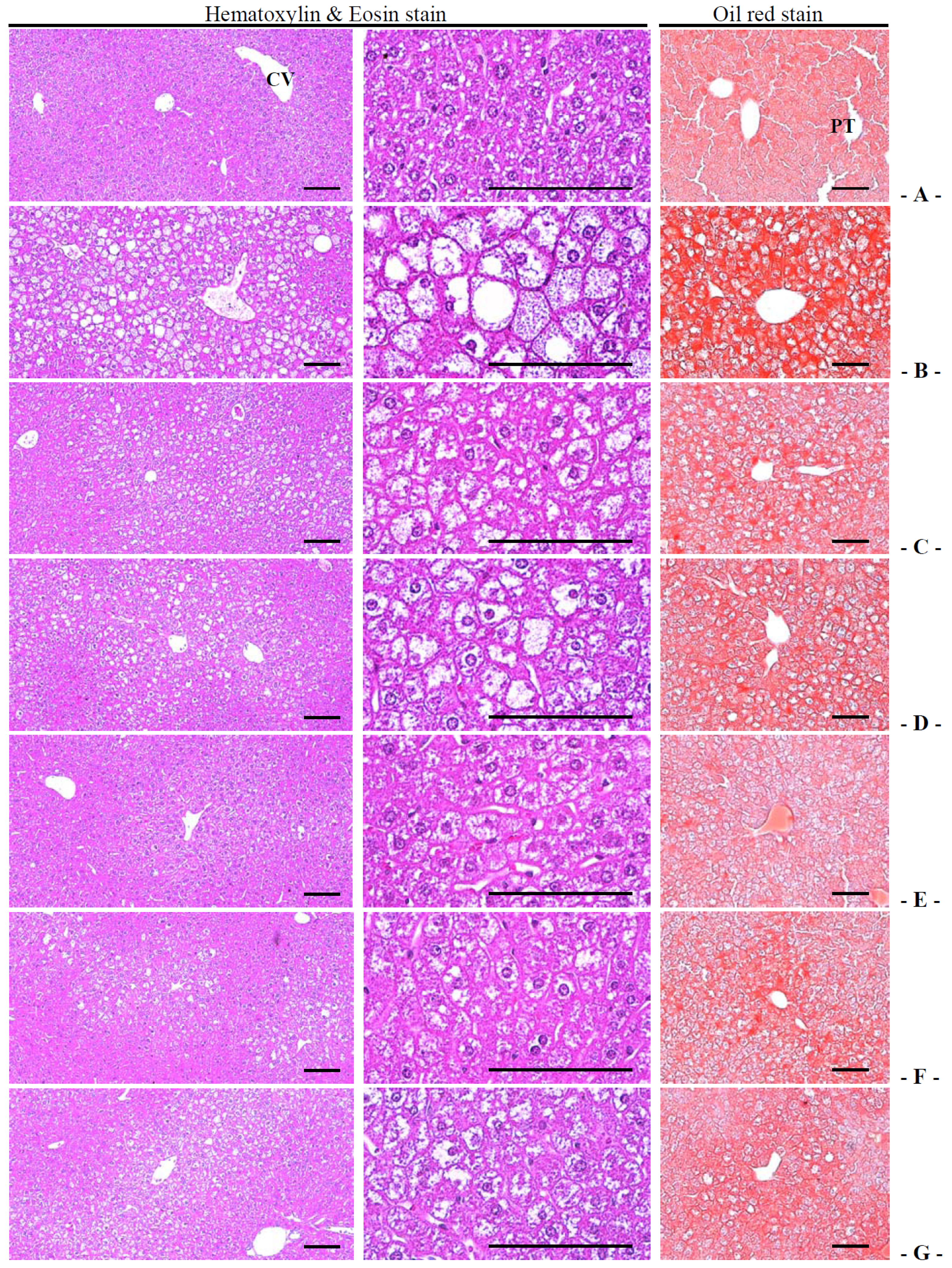 Nutrients 06 03536 g008