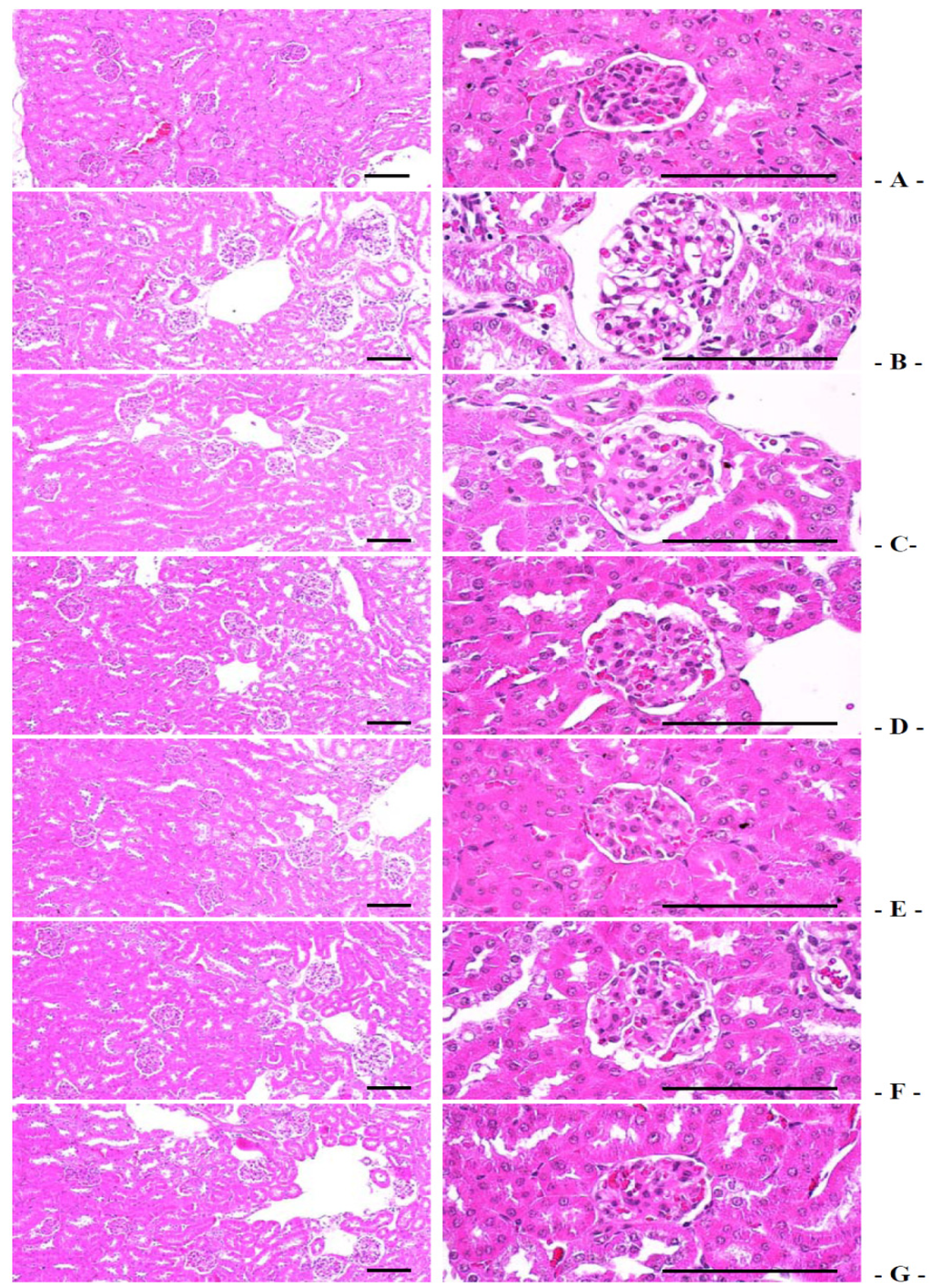 Nutrients 06 03536 g009 1024