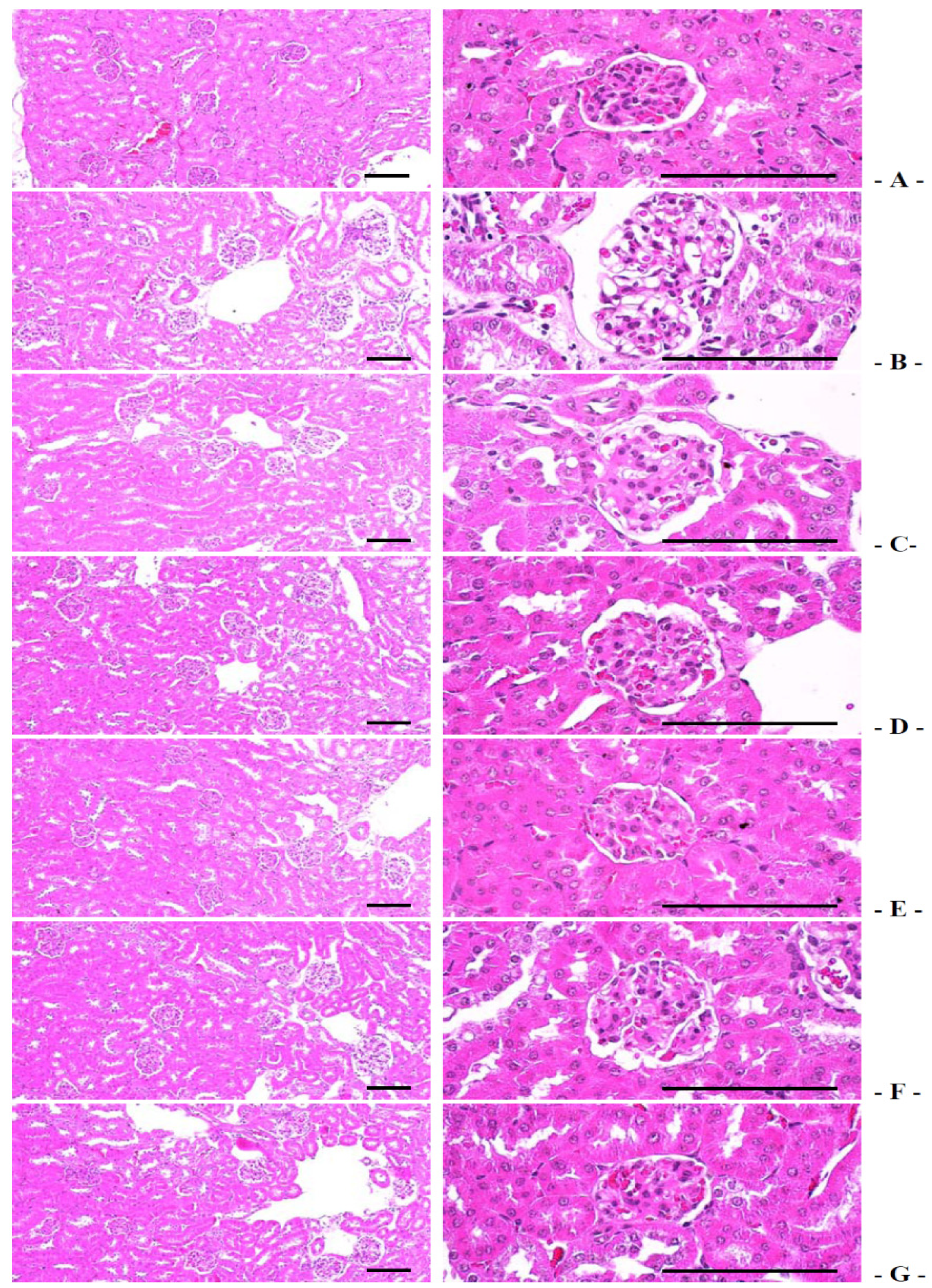Nutrients 06 03536 g009