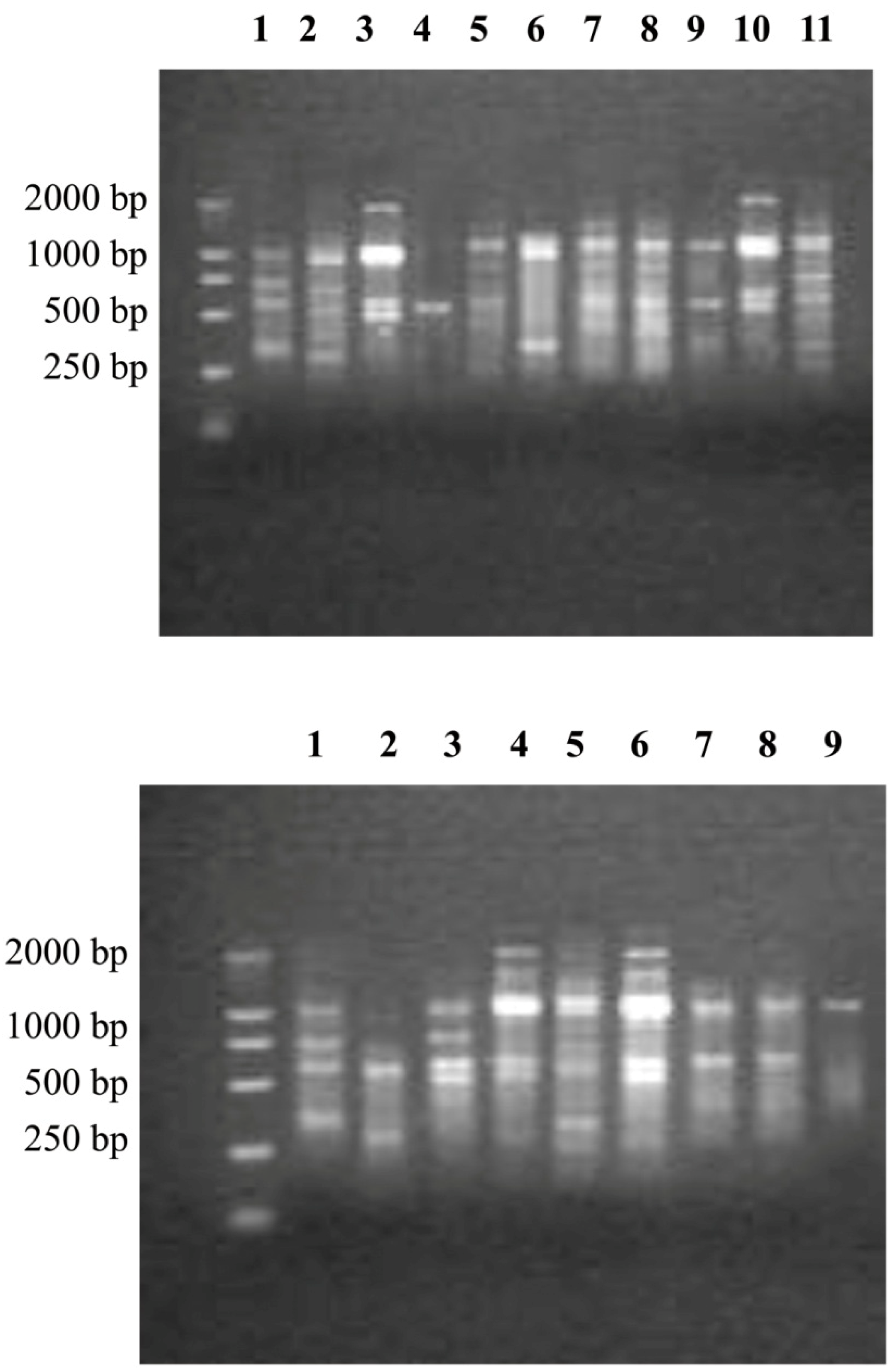 Nutrients 06 03572 g006