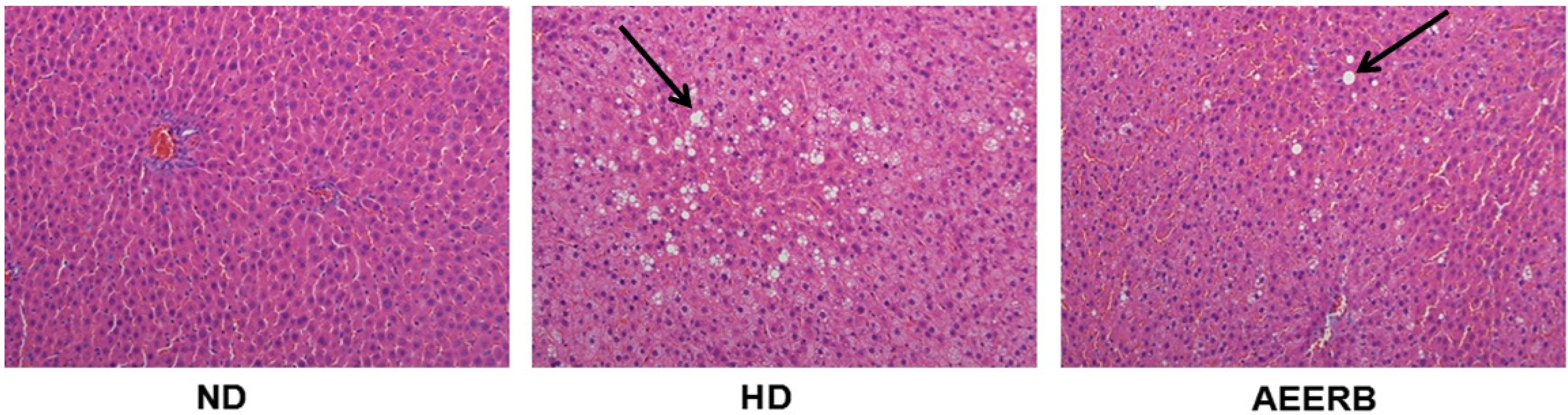 Nutrients 06 03696 g003
