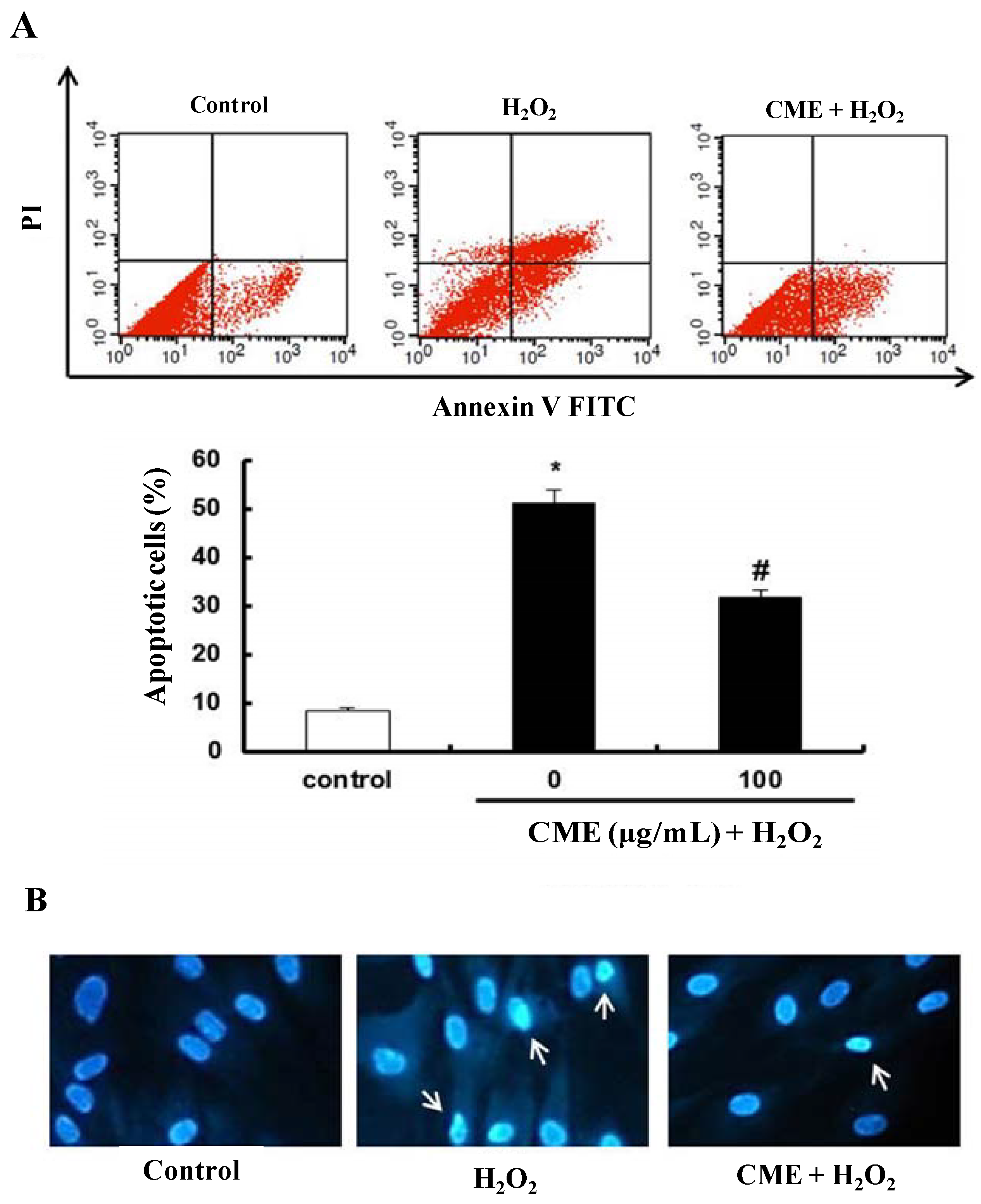 Nutrients 06 03711 g005