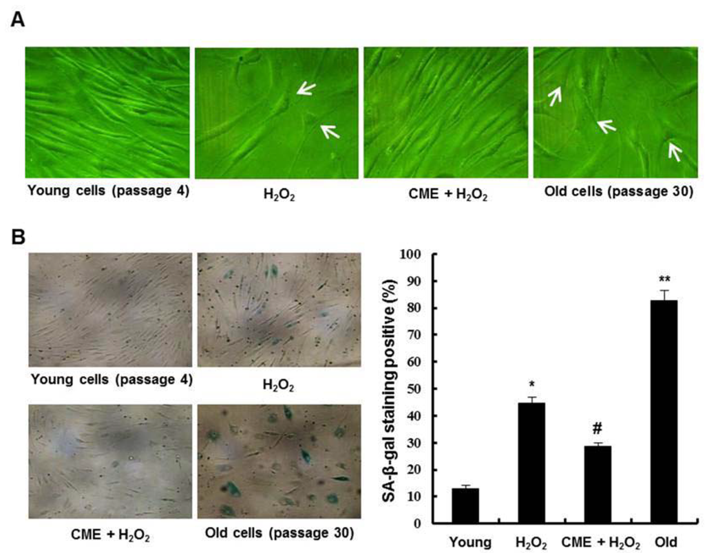 Nutrients 06 03711 g006 1024