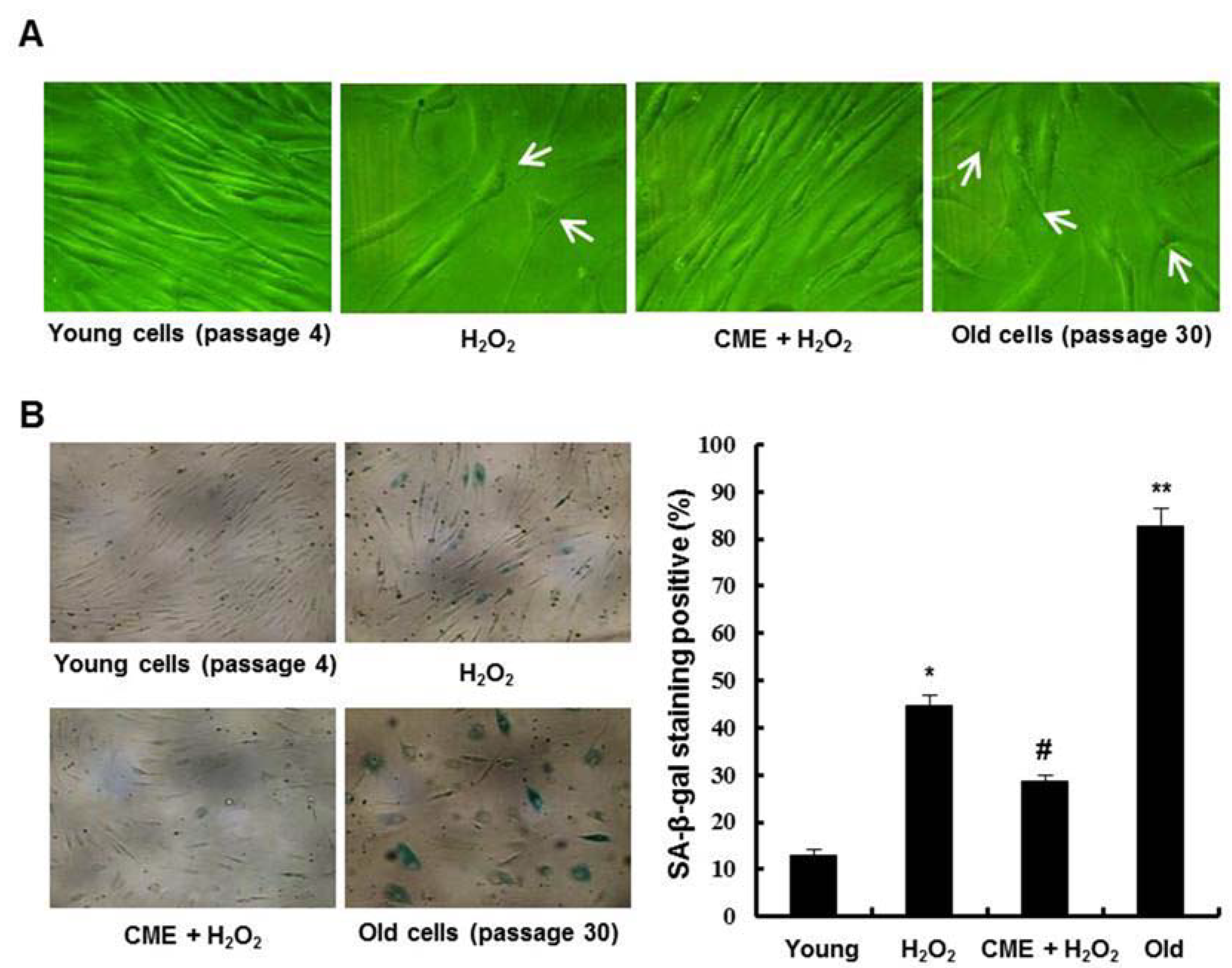 Nutrients 06 03711 g006