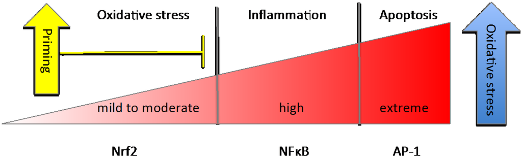 Nutrients 06 03777 g002 1024
