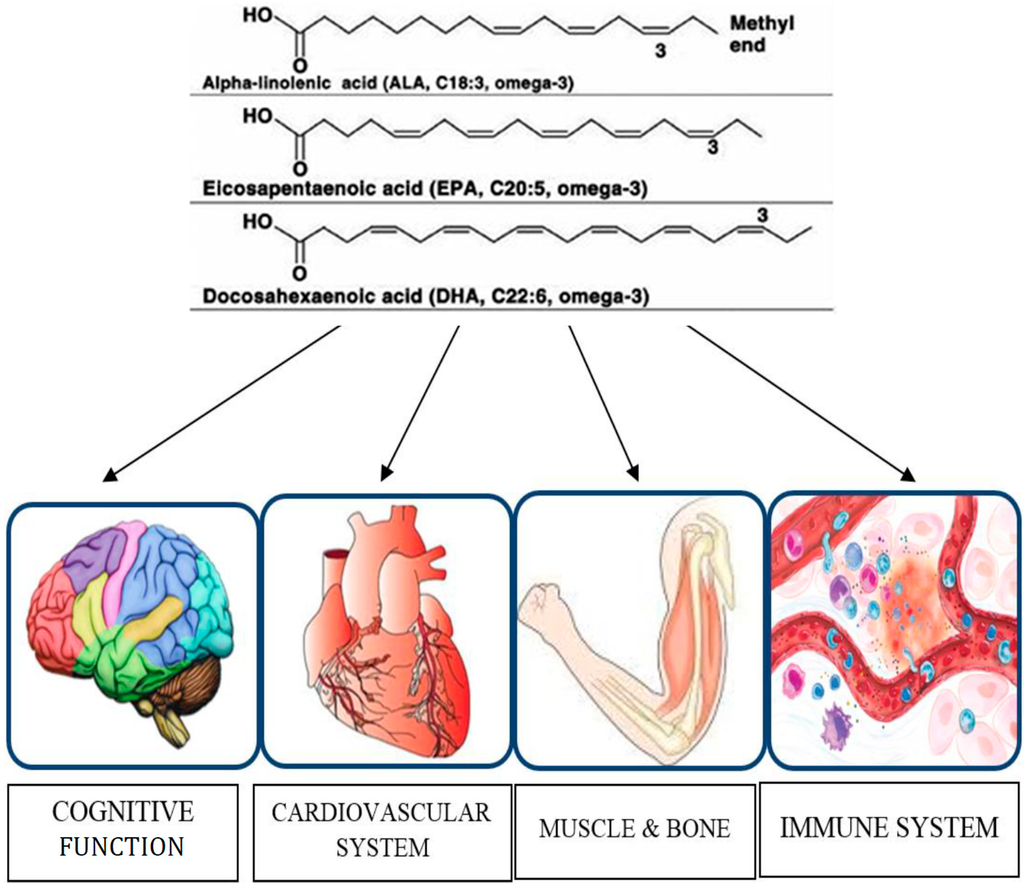 Nutrients 06 04058 g001 1024