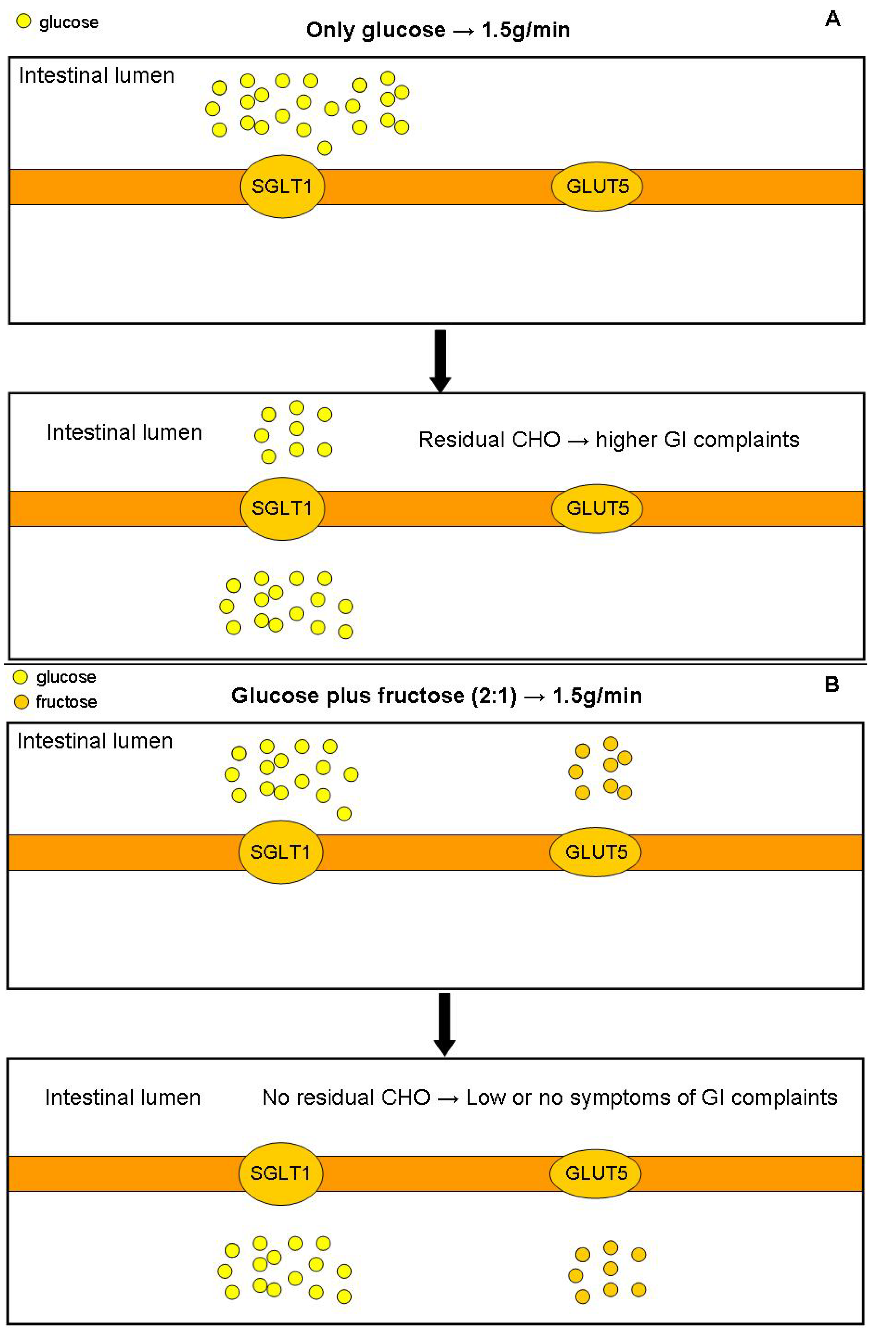 Nutrients 06 04191 g001