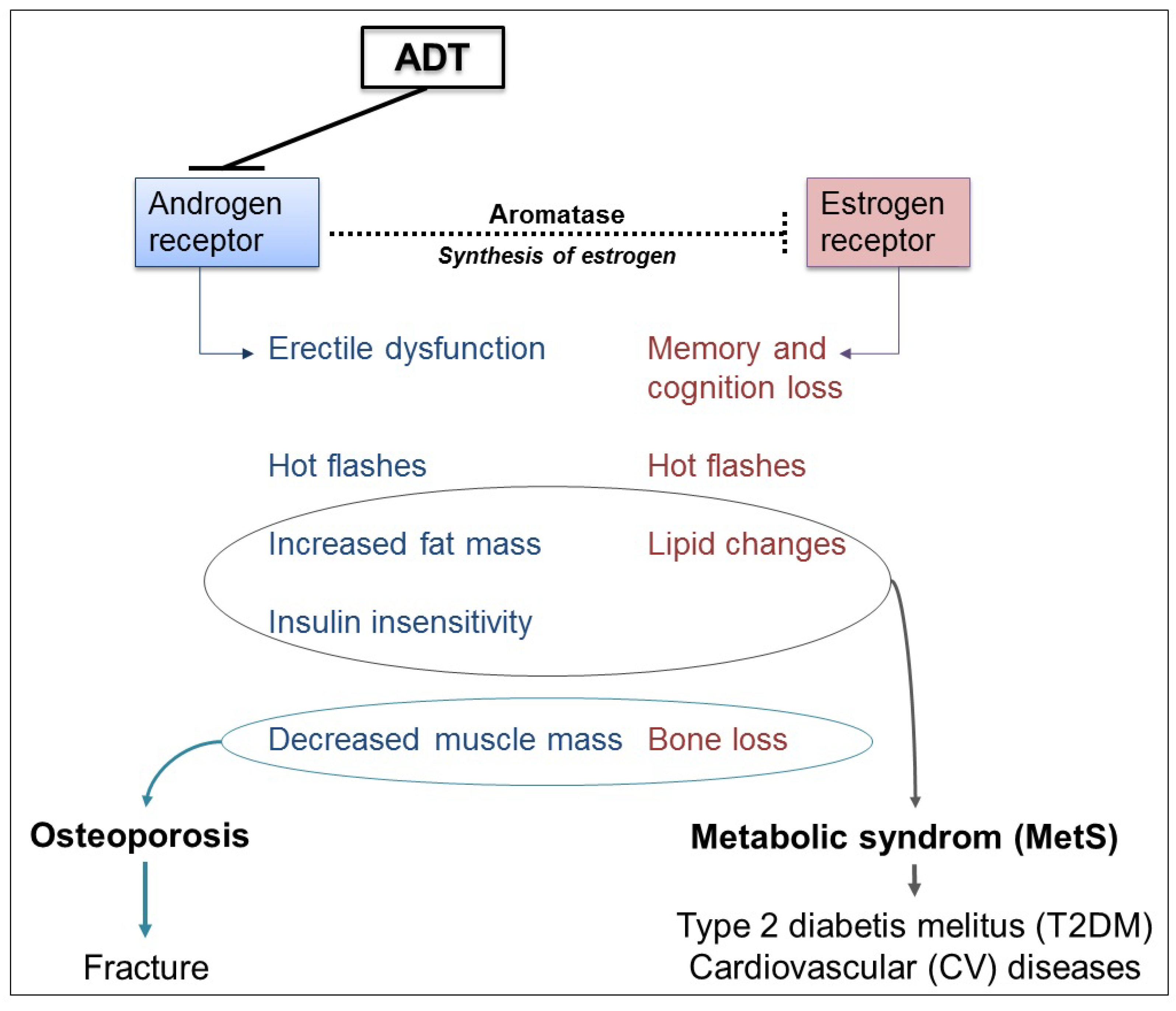 Nutrients 06 04491 g002
