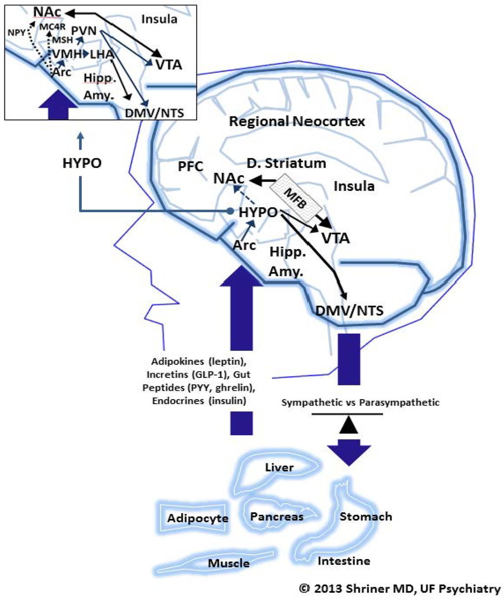 Nutrients 06 05370 g002 1024