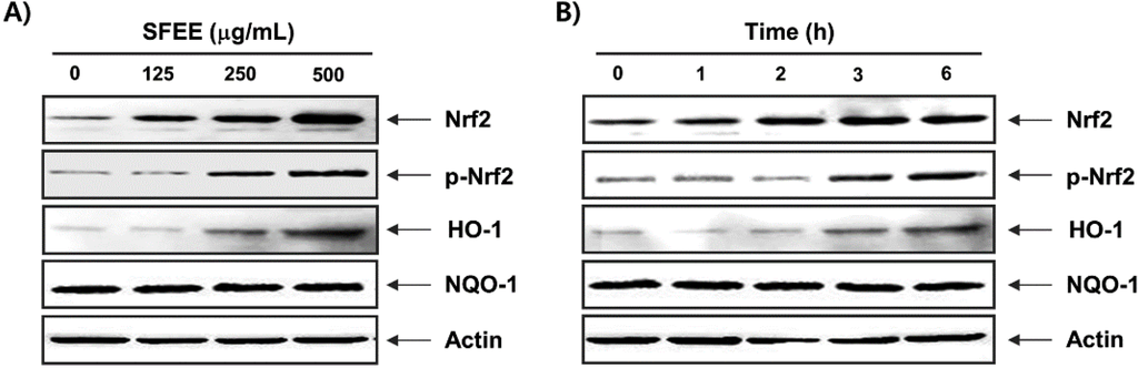 Nutrients 06 05667 g004 1024