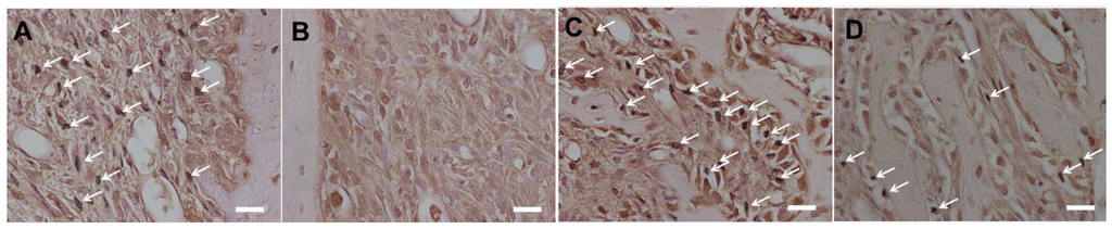 Nutrients 06 05756 g006 1024