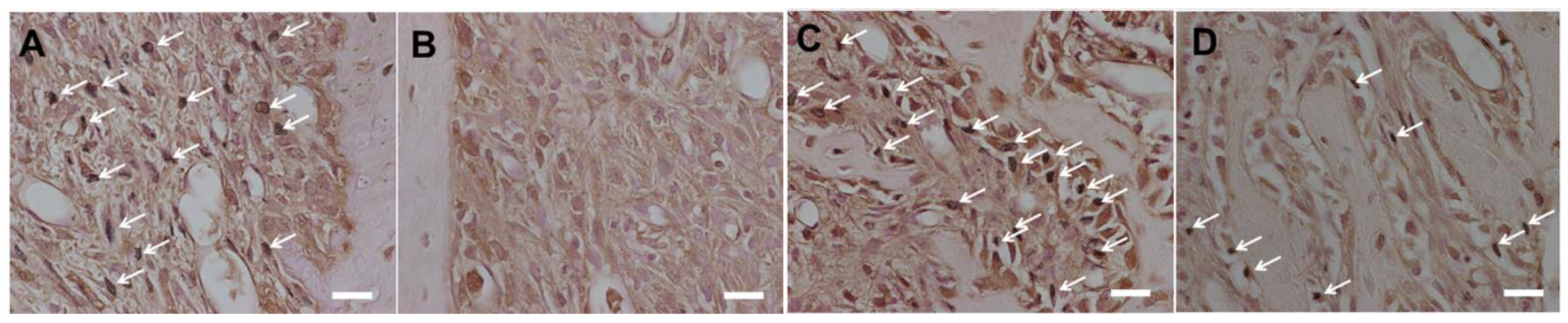 Nutrients 06 05756 g006