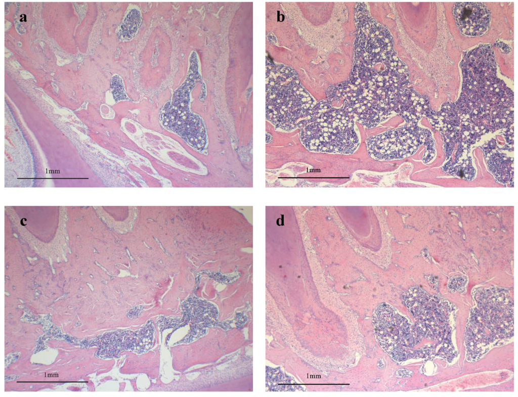 Nutrients 06 05853 g004 1024