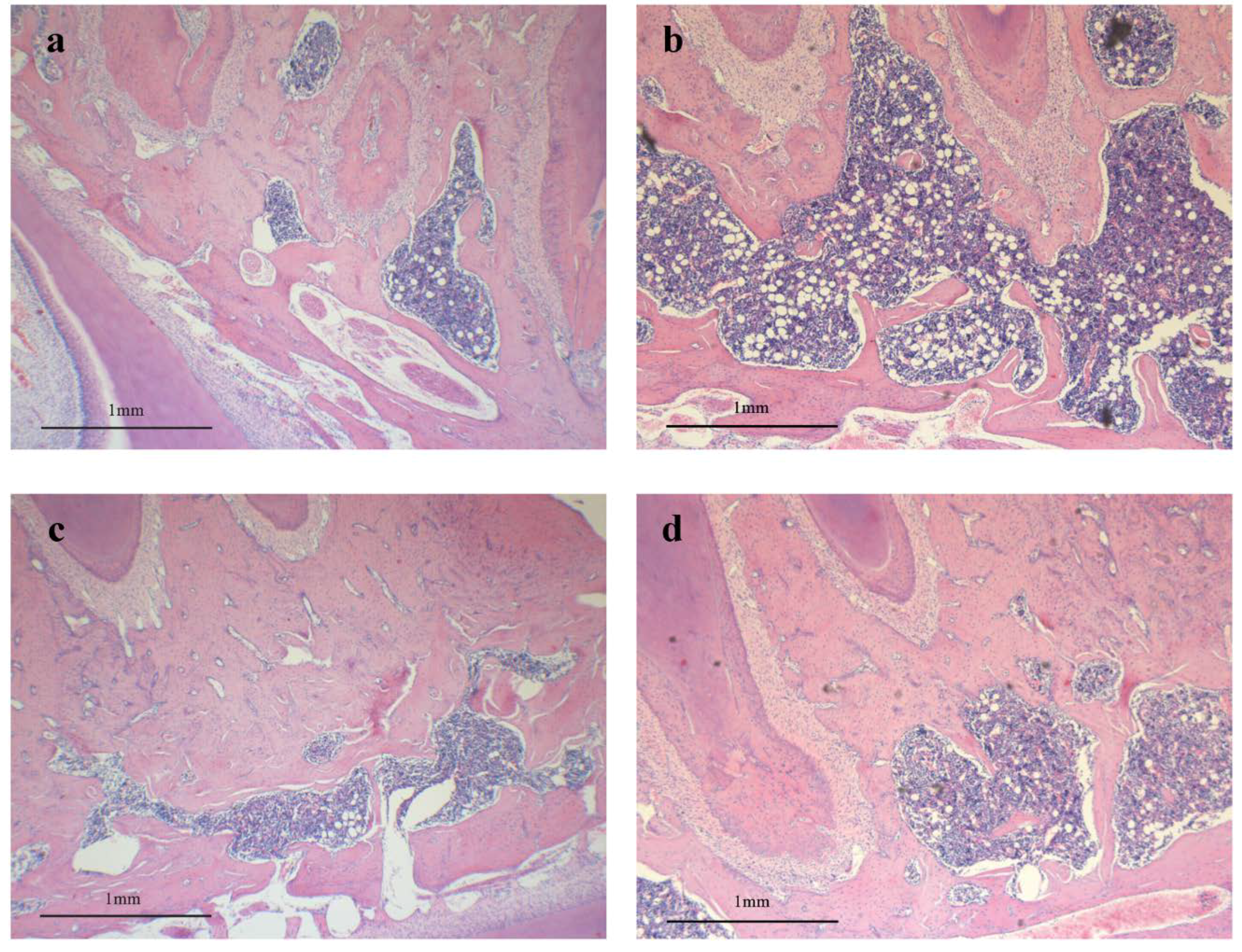 Nutrients 06 05853 g004