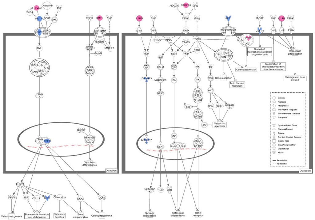 Nutrients 06 05853 g005 1024