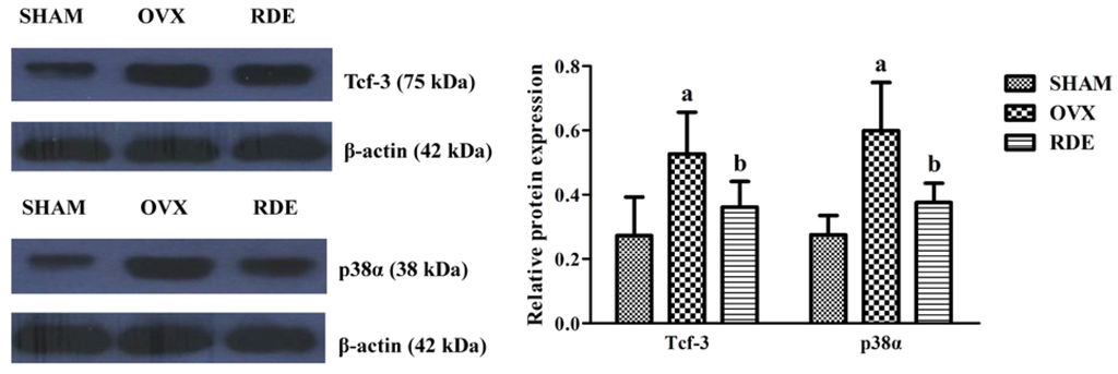 Nutrients 06 05853 g007 1024