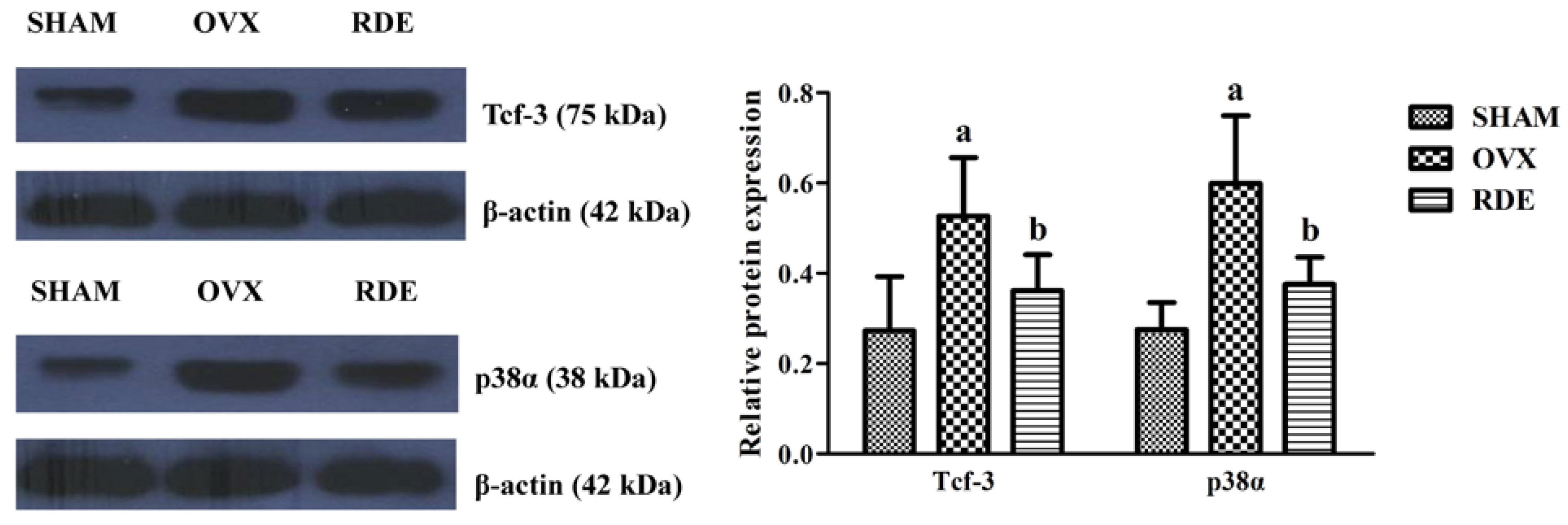 Nutrients 06 05853 g007