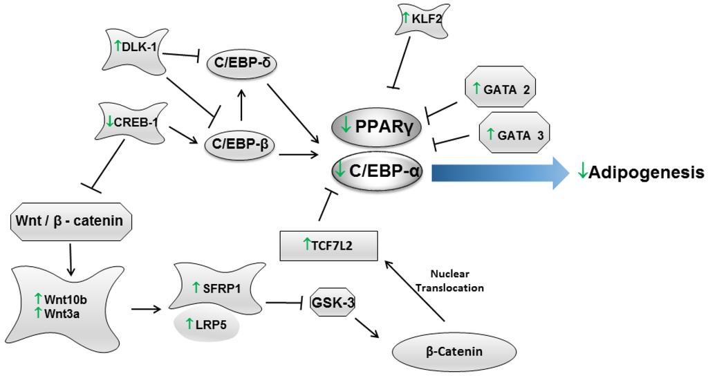 Nutrients 07 00730 g001 1024