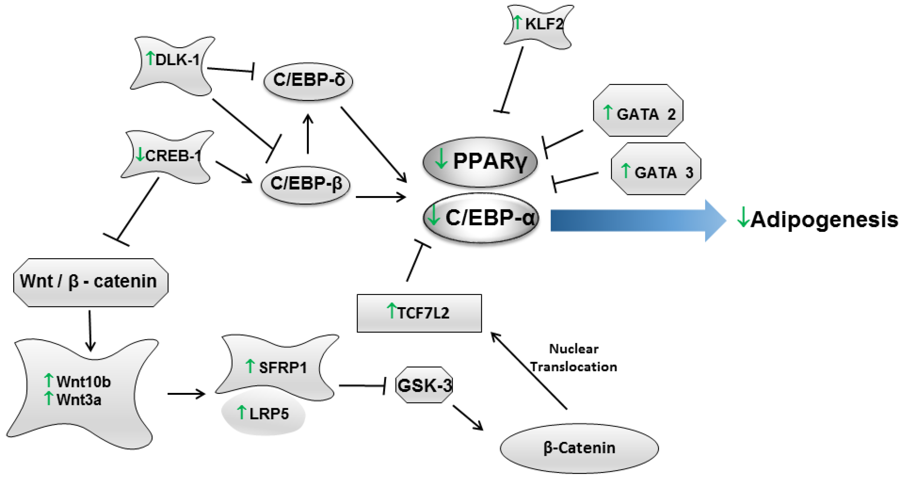 Nutrients 07 00730 g001