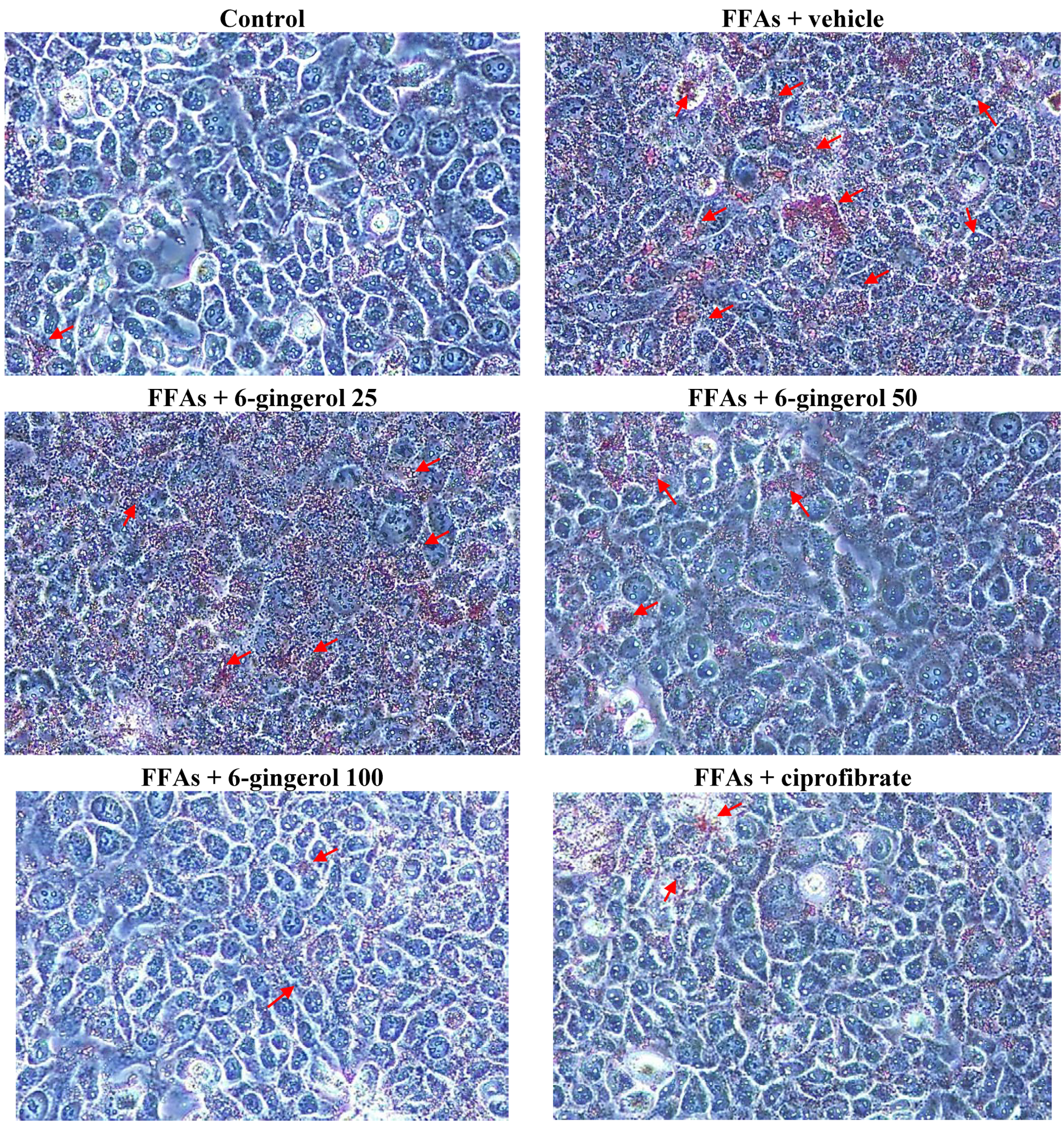 Nutrients 07 00999 g001