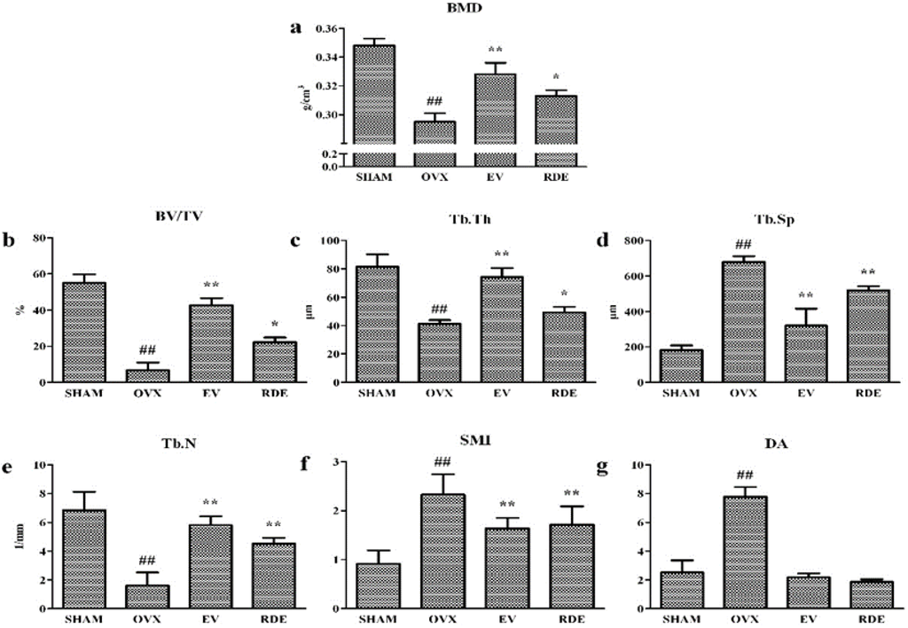 Nutrients 07 01333 g001 1024