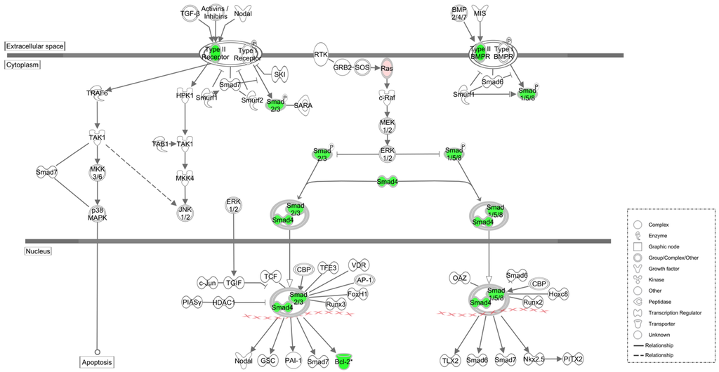 Nutrients 07 01333 g004 1024