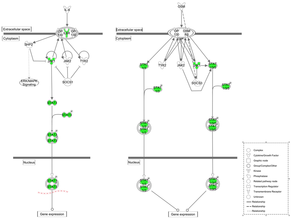 Nutrients 07 01333 g005 1024