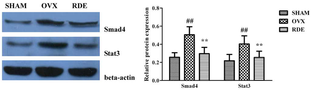 Nutrients 07 01333 g007 1024