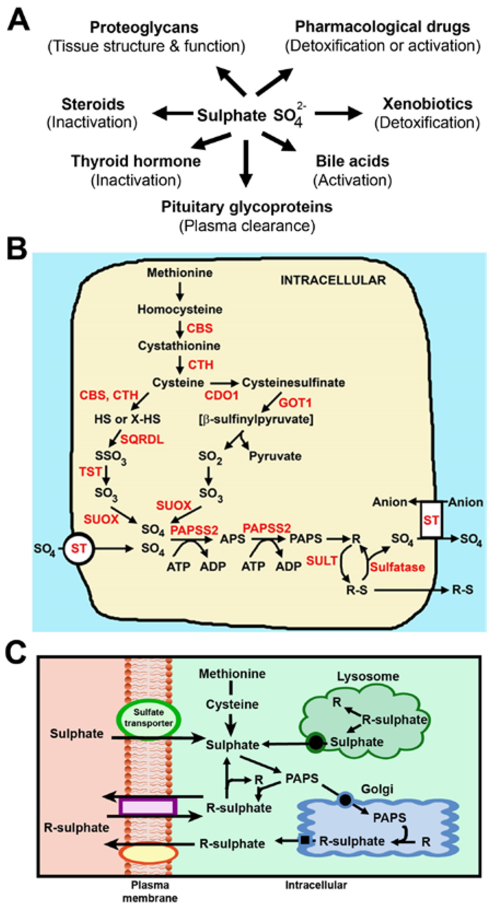 Nutrients 07 01594 g001 1024