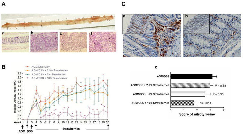 Nutrients 07 01696 g002 1024