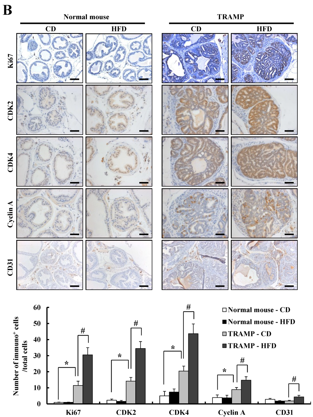 Nutrients 07 02539 g003b 1024