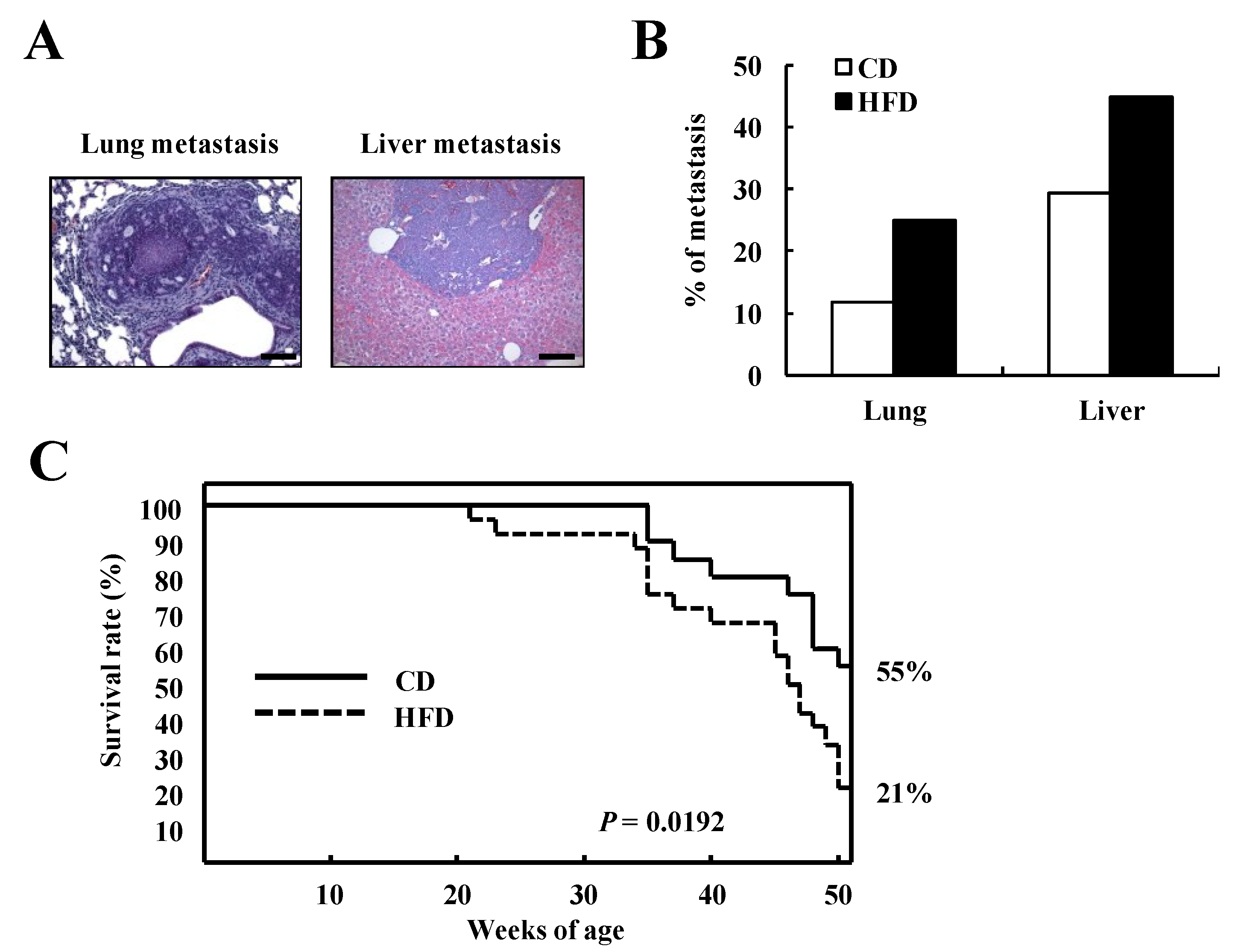 Nutrients 07 02539 g004