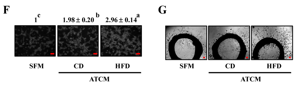 Nutrients 07 02539 g006b 1024