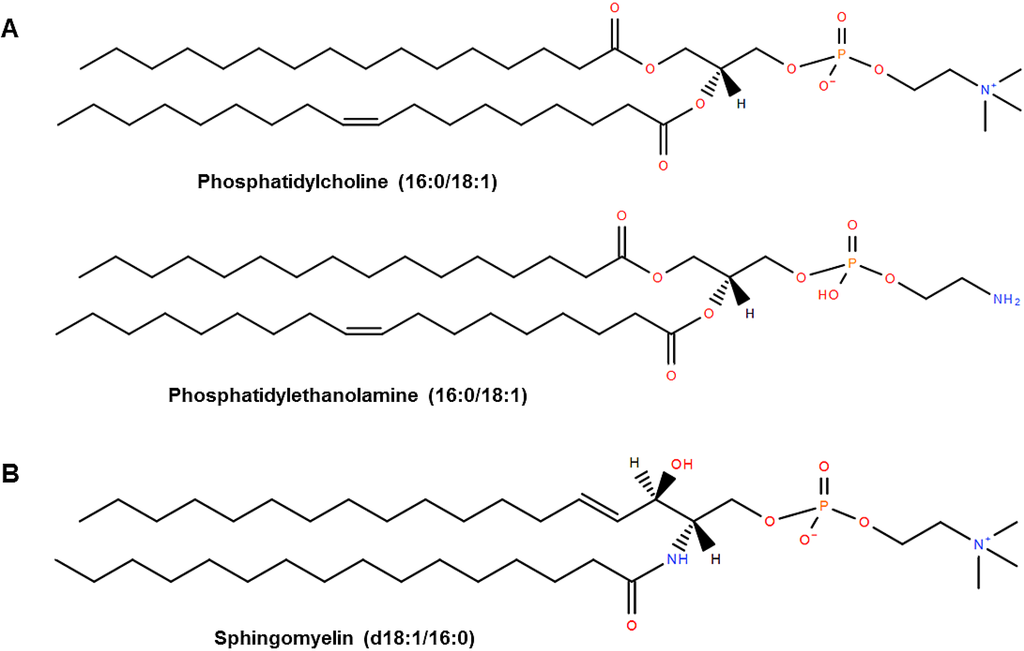 Nutrients 07 02731 g001 1024