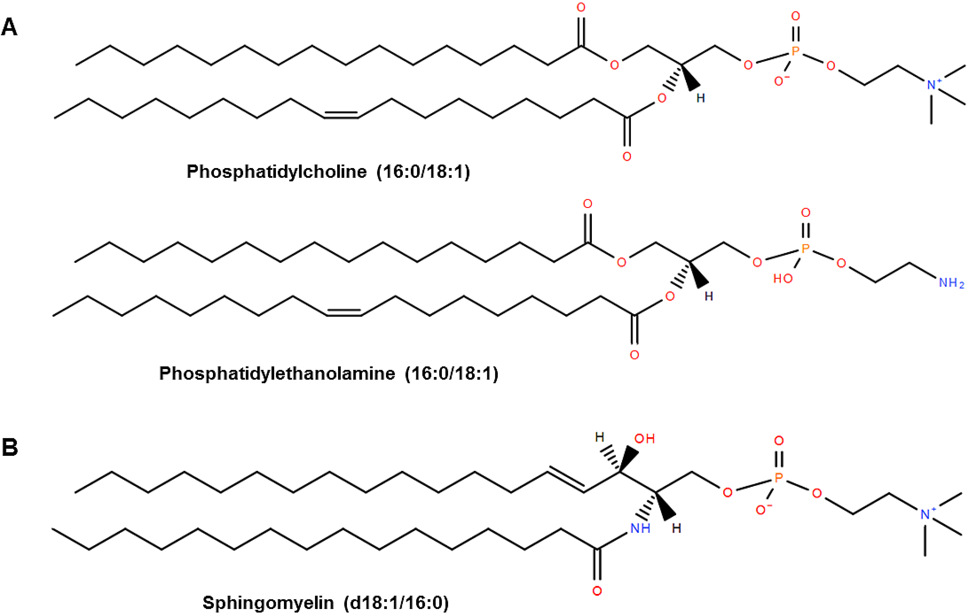 Nutrients 07 02731 g001