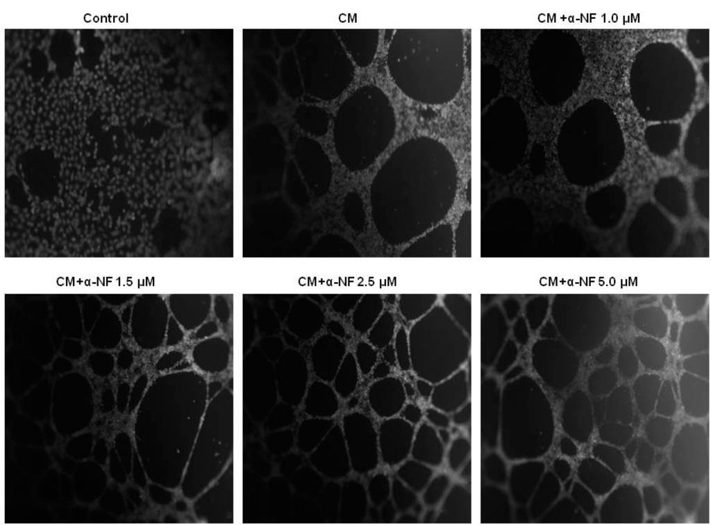 Nutrients 07 03166 g003 1024