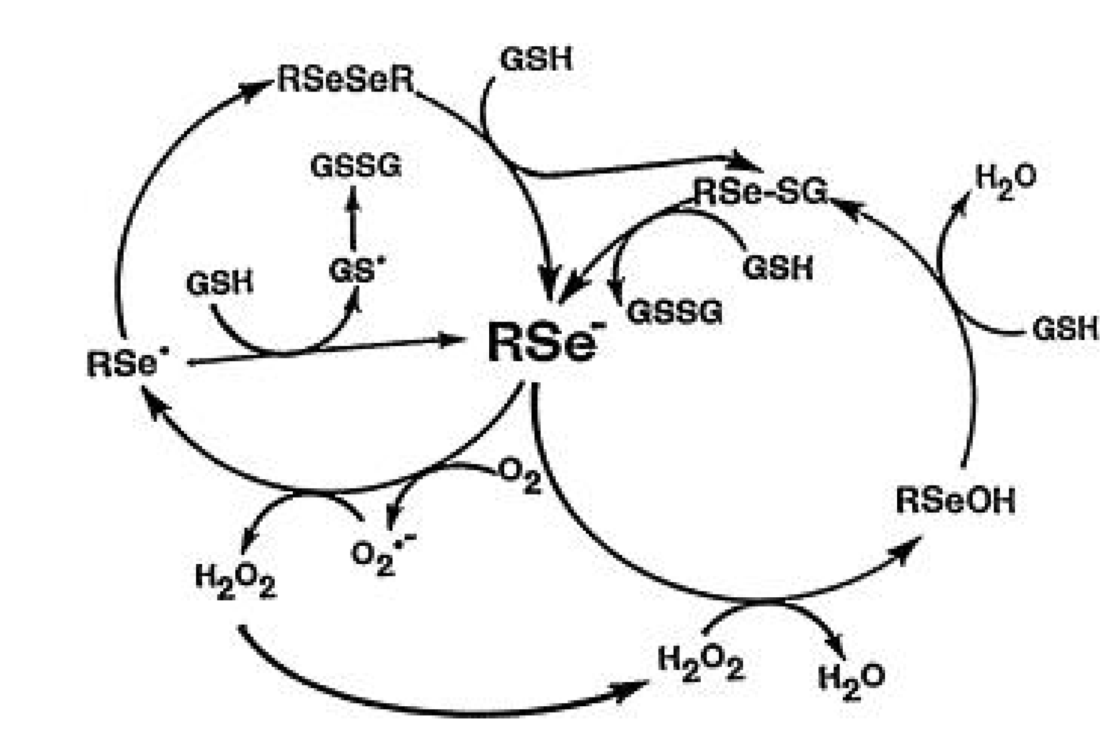 Nutrients 07 03536 g003