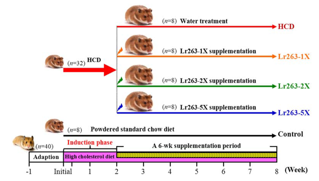 Nutrients 07 03767 g001 1024