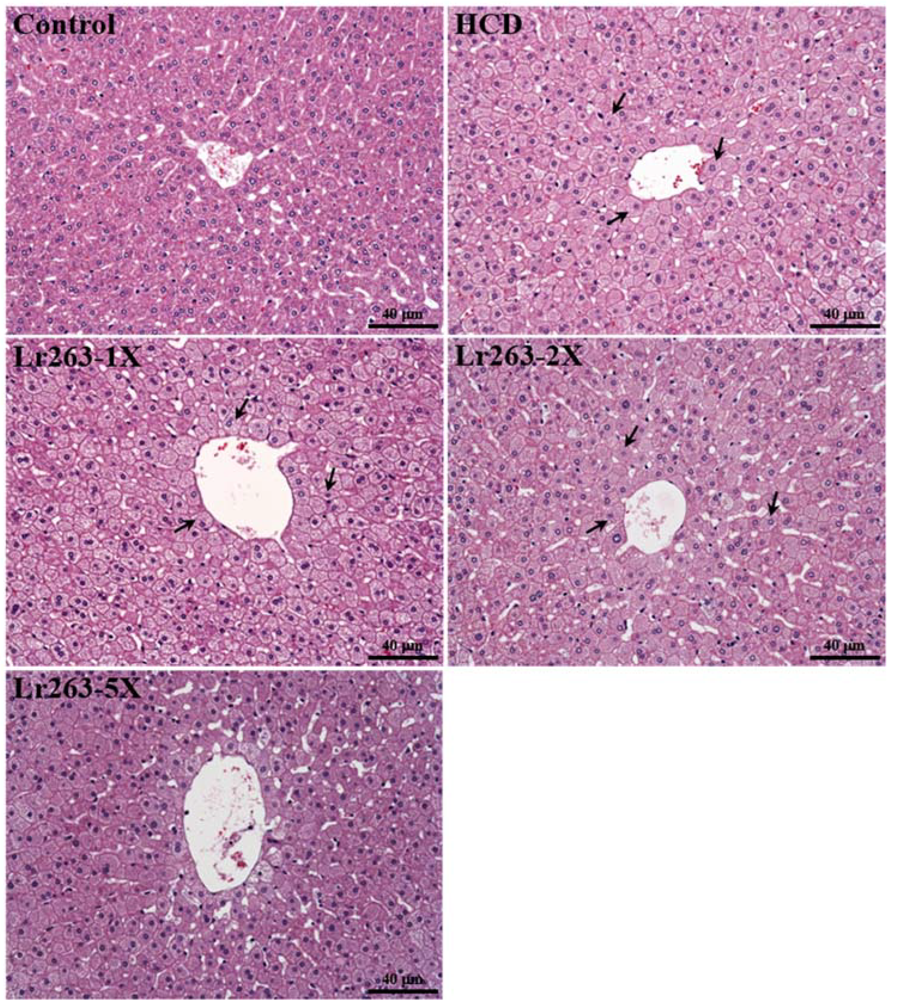 Nutrients 07 03767 g007
