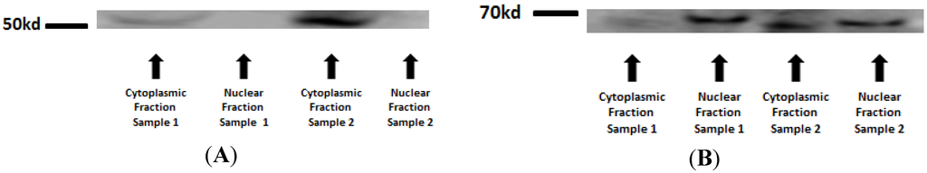 Nutrients 07 04465 g005 1024