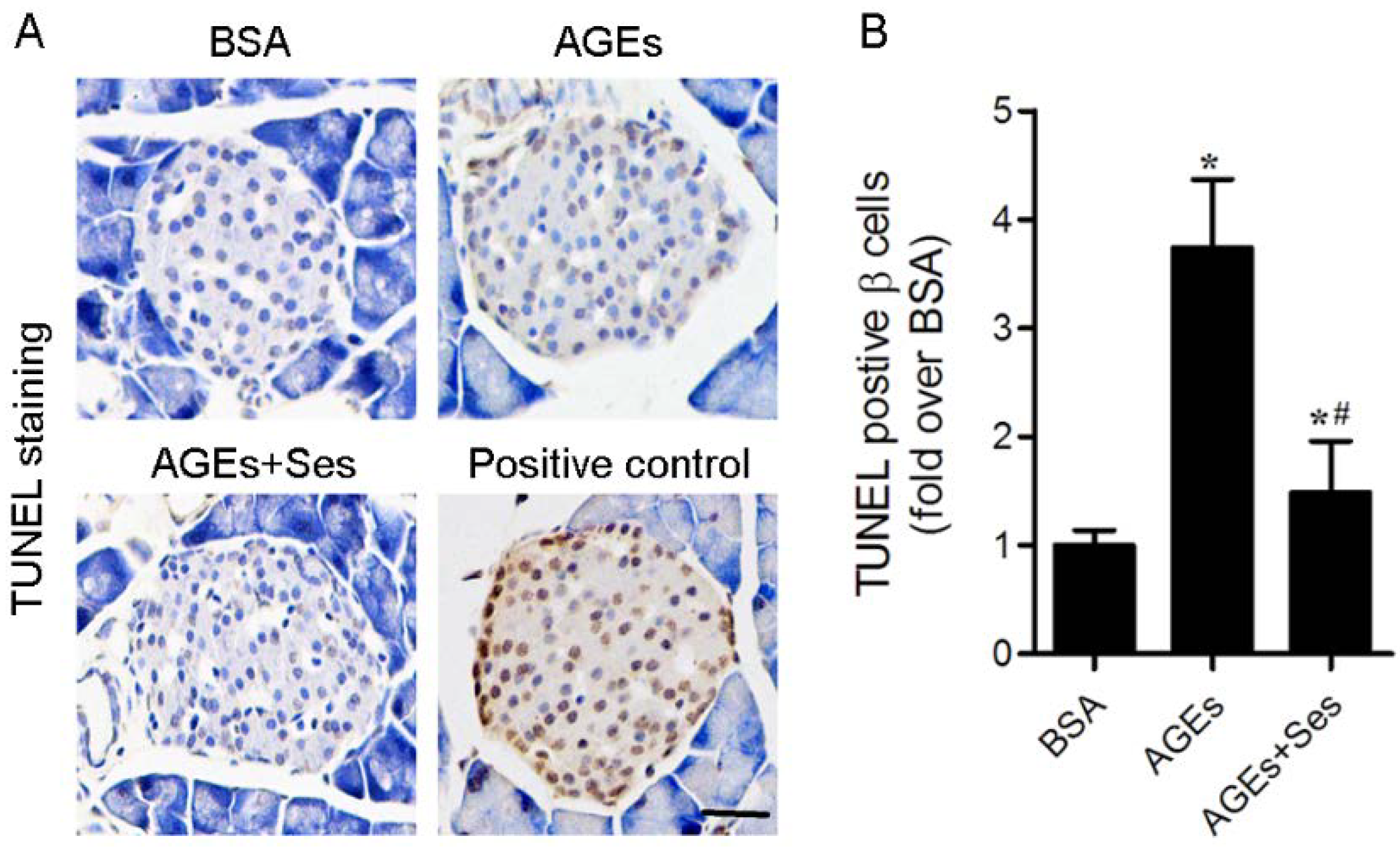 Nutrients 07 04689 g003