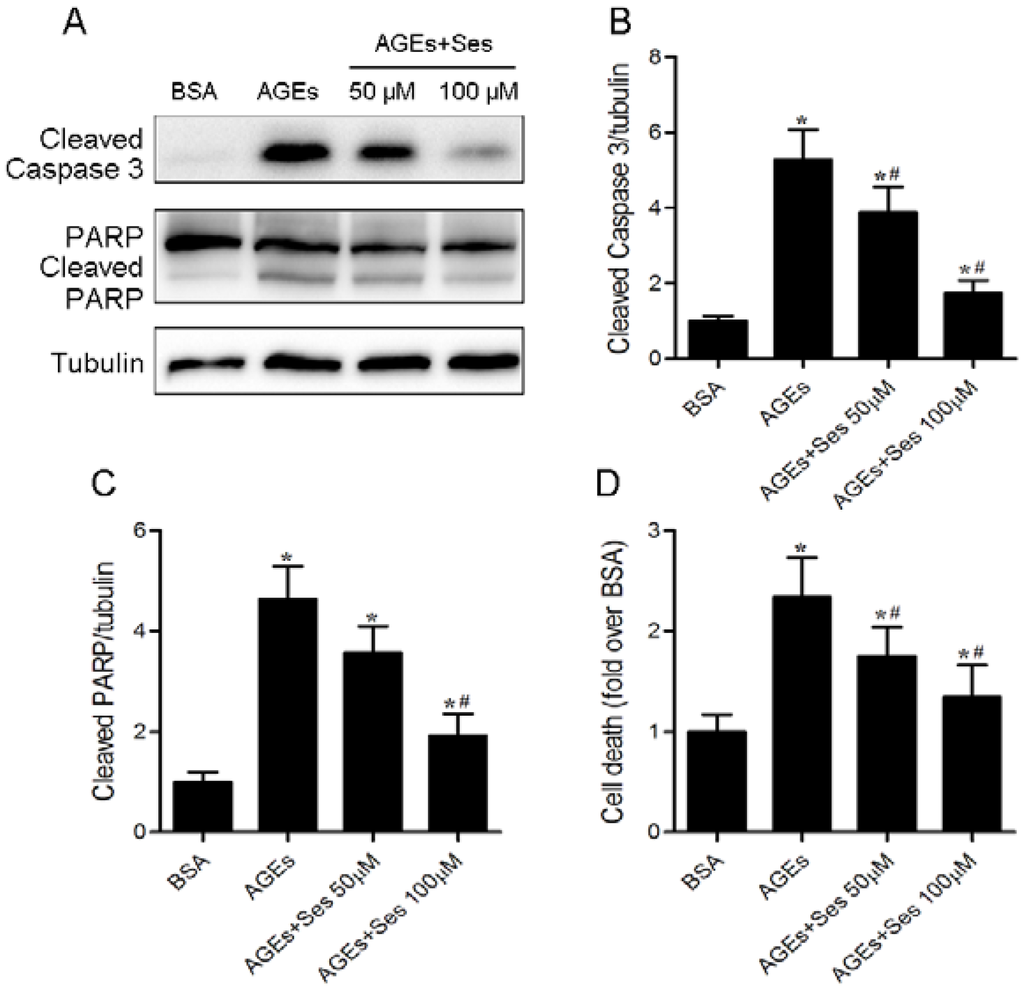 Nutrients 07 04689 g006 1024